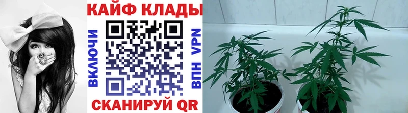 Купить наркотики сайты Ак-Довурак Гашиш  Конопля  Мефедрон 