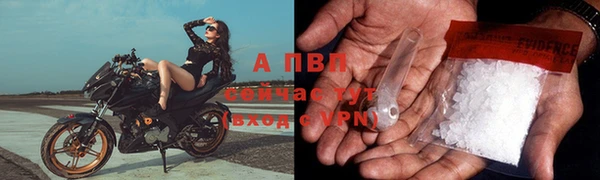 амф Протвино
