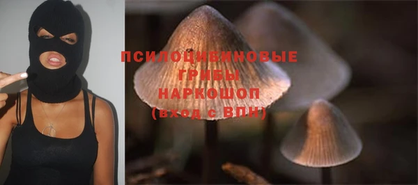 амф Протвино