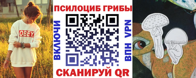 площадка Telegram  Ак-Довурак  Галлюциногенные грибы ЛСД  как найти  